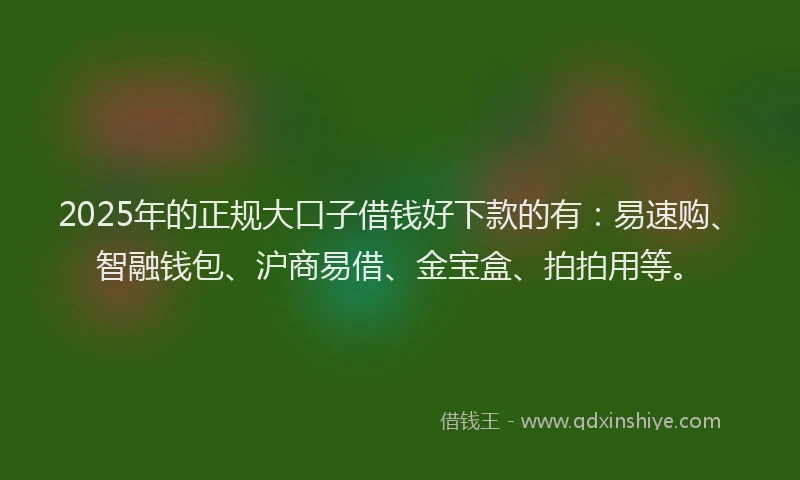 2025年的正规大口子借钱好下款的有：易速购、智融钱包、沪商易借、金宝盒、拍拍用等。