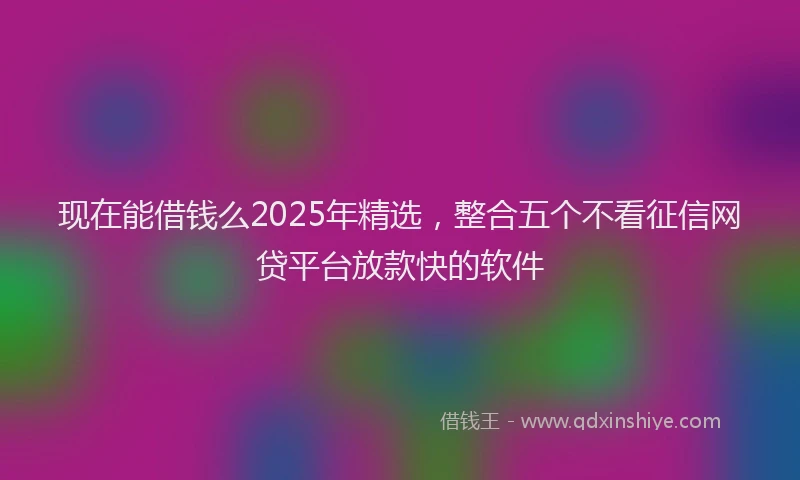 现在能借钱么2025年精选，整合五个不看征信网贷平台放款快的软件