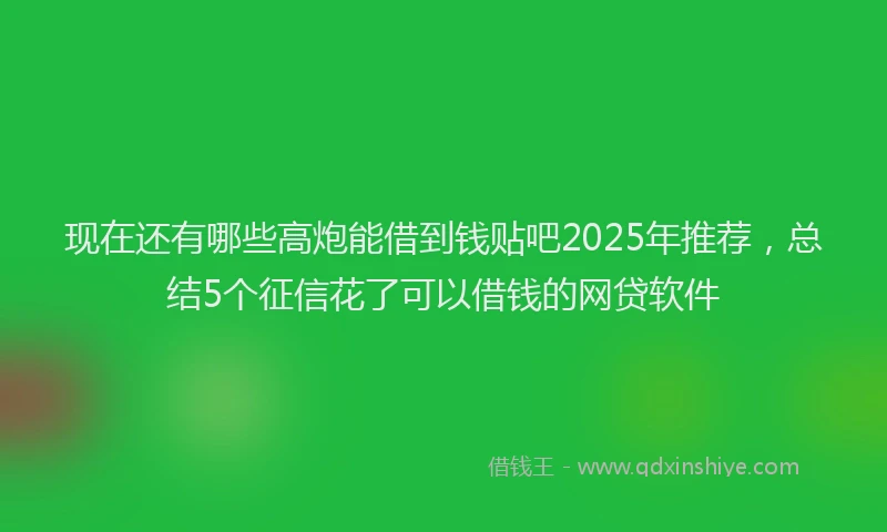 现在还有哪些高炮能借到钱贴吧2025年推荐，总结5个征信花了可以借钱的网贷软件