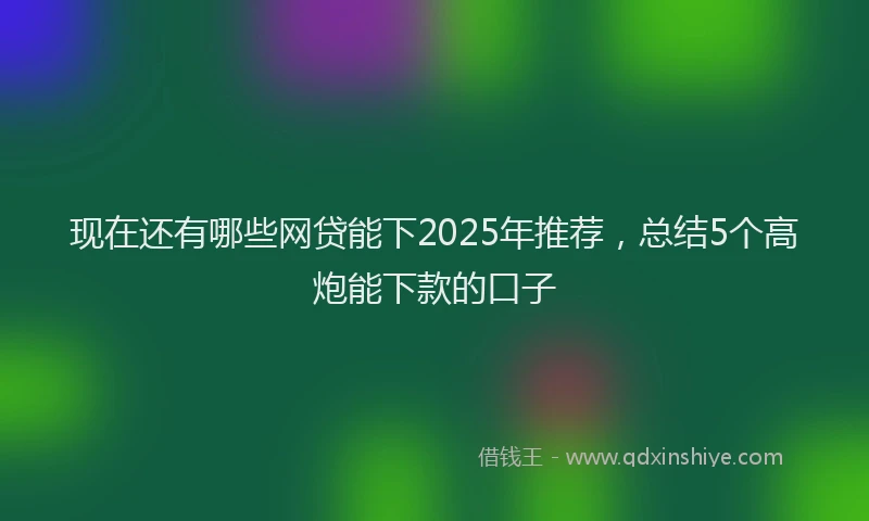 现在还有哪些网贷能下2025年推荐，总结5个高炮能下款的口子