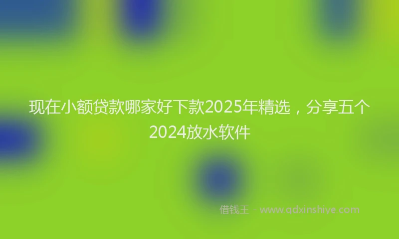 现在小额贷款哪家好下款2025年精选，分享五个2024放水软件