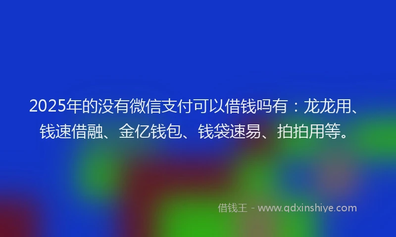 2025年的没有微信支付可以借钱吗有：龙龙用、钱速借融、金亿钱包、钱袋速易、拍拍用等。