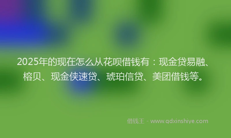 2025年的现在怎么从花呗借钱有：现金贷易融、榕贝、现金侠速贷、琥珀信贷、美团借钱等。