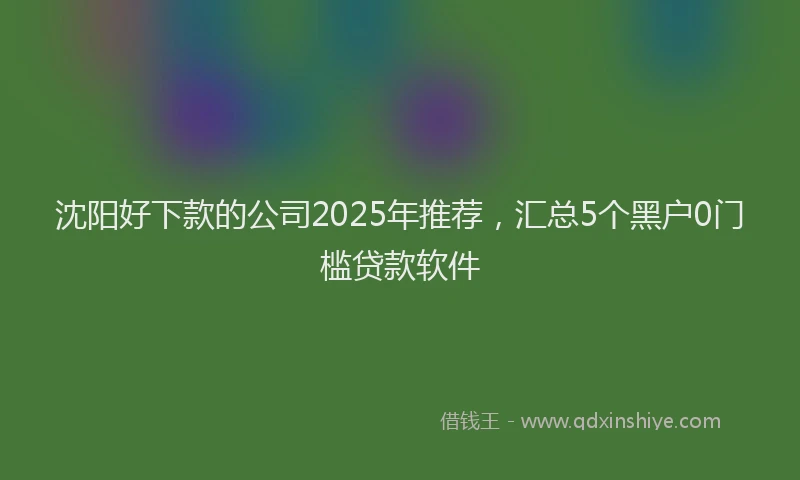 沈阳好下款的公司2025年推荐，汇总5个黑户0门槛贷款软件