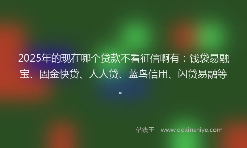 2025年的现在哪个贷款不看征信啊有：钱袋易融宝、固金快贷、人人贷、蓝鸟信用、闪贷易融等。