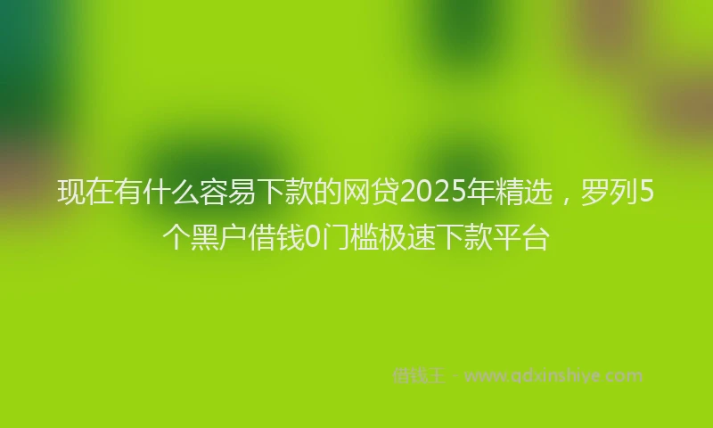 现在有什么容易下款的网贷2025年精选，罗列5个黑户借钱0门槛极速下款平台