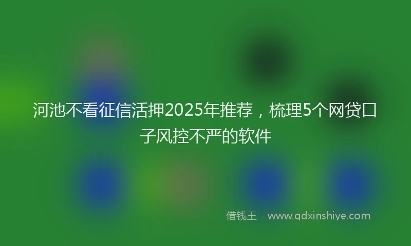 河池不看征信活押2025年推荐，梳理5个网贷口子风控不严的软件
