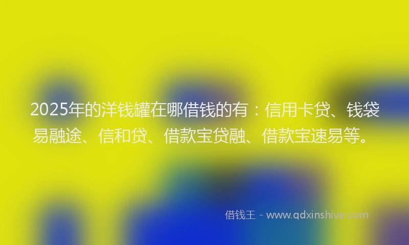 2025年的洋钱罐在哪借钱的有：信用卡贷、钱袋易融途、信和贷、借款宝贷融、借款宝速易等。
