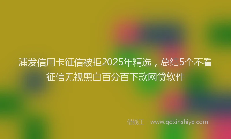 浦发信用卡征信被拒2025年精选，总结5个不看征信无视黑白百分百下款网贷软件