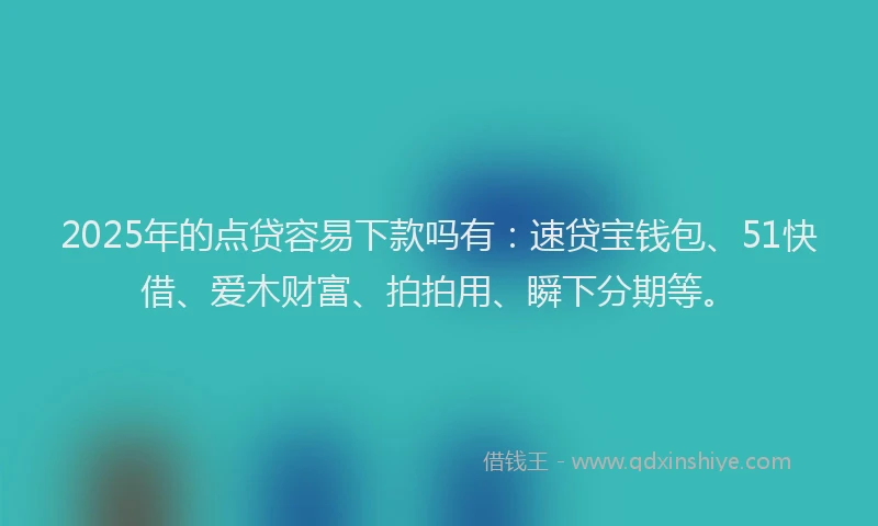 2025年的点贷容易下款吗有：速贷宝钱包、51快借、爱木财富、拍拍用、瞬下分期等。