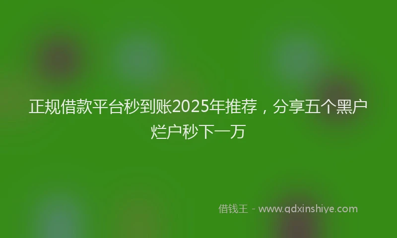 正规借款平台秒到账2025年推荐，分享五个黑户烂户秒下一万