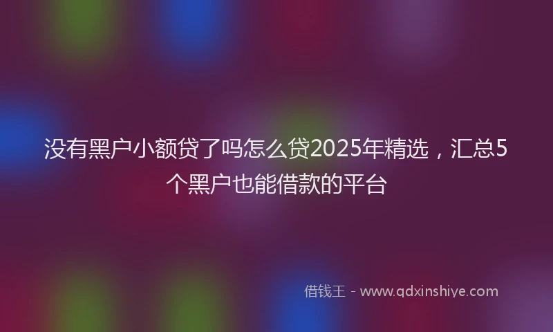 没有黑户小额贷了吗怎么贷2025年精选，汇总5个黑户也能借款的平台