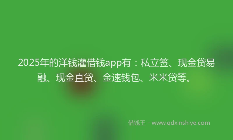 2025年的洋钱灌借钱app有：私立签、现金贷易融、现金直贷、金速钱包、米米贷等。
