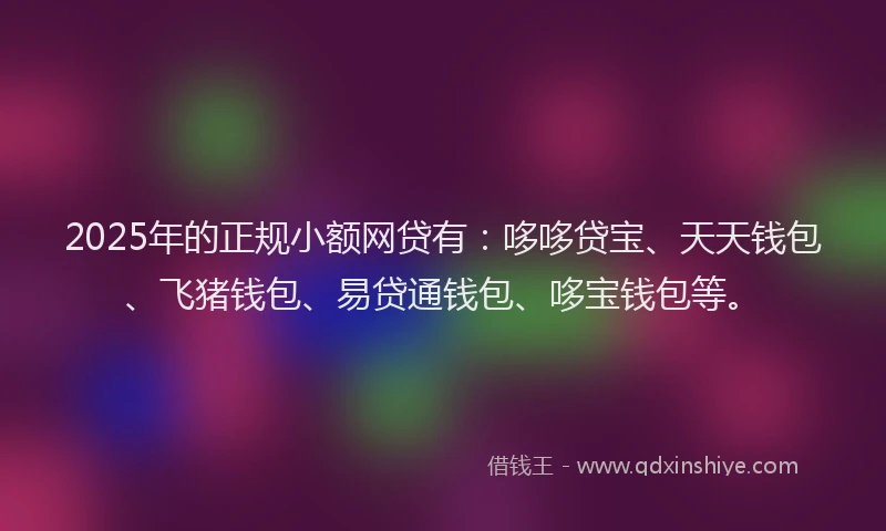 2025年的正规小额网贷有：哆哆贷宝、天天钱包、飞猪钱包、易贷通钱包、哆宝钱包等。