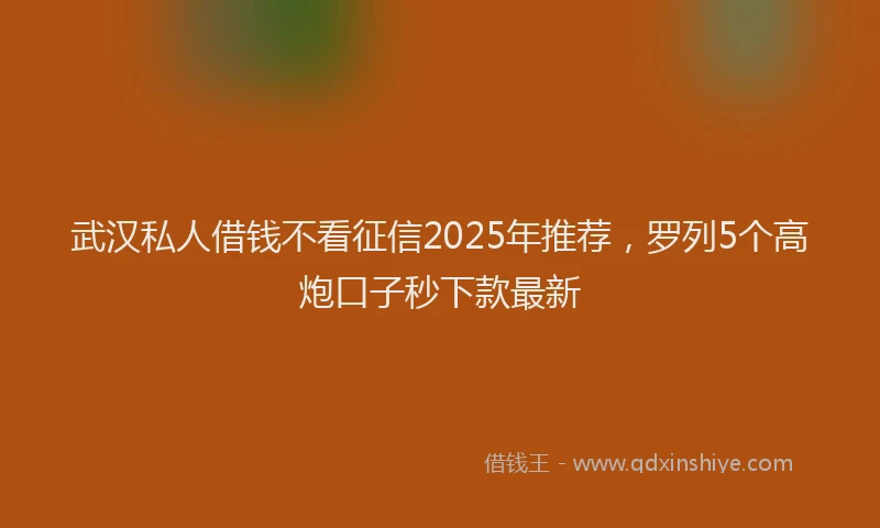 武汉私人借钱不看征信2025年推荐，罗列5个高炮口子秒下款最新