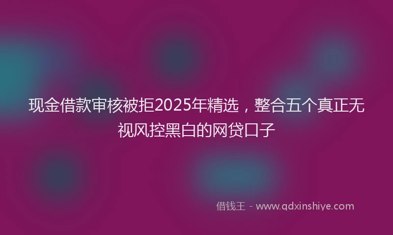 现金借款审核被拒2025年精选，整合五个真正无视风控黑白的网贷口子