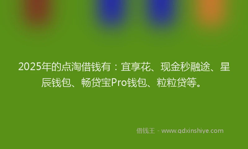 2025年的点淘借钱有：宜享花、现金秒融途、星辰钱包、畅贷宝Pro钱包、粒粒贷等。