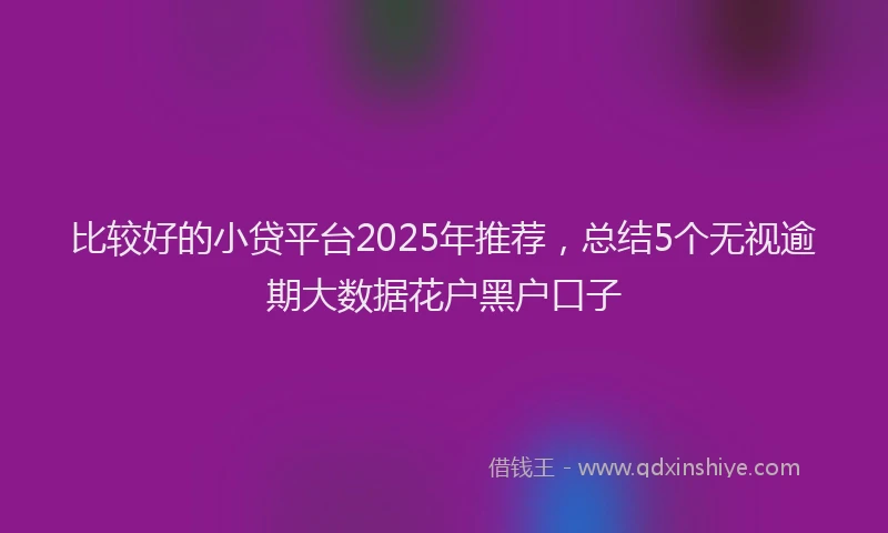 比较好的小贷平台2025年推荐，总结5个无视逾期大数据花户黑户口子