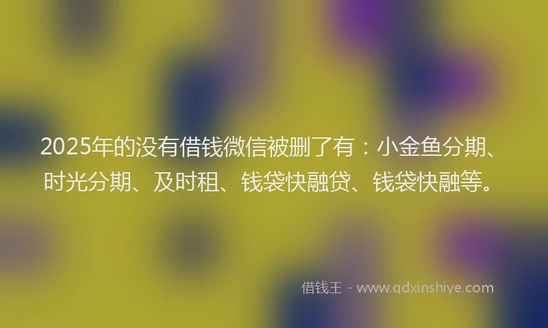 2025年的没有借钱微信被删了有：小金鱼分期、时光分期、及时租、钱袋快融贷、钱袋快融等。