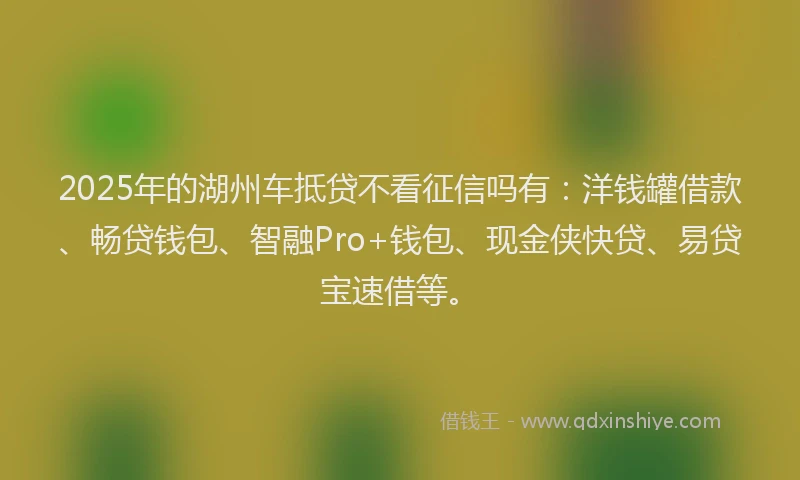2025年的湖州车抵贷不看征信吗有：洋钱罐借款、畅贷钱包、智融Pro+钱包、现金侠快贷、易贷宝速借等。