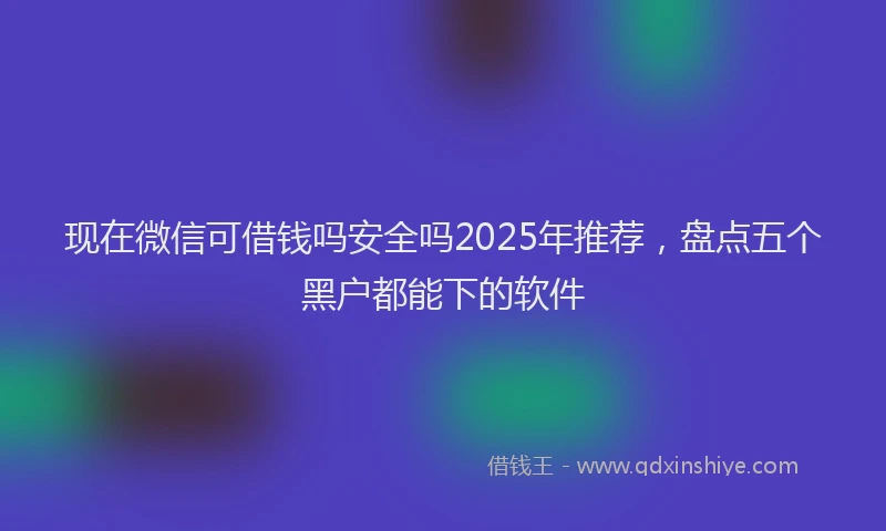 现在微信可借钱吗安全吗2025年推荐，盘点五个黑户都能下的软件