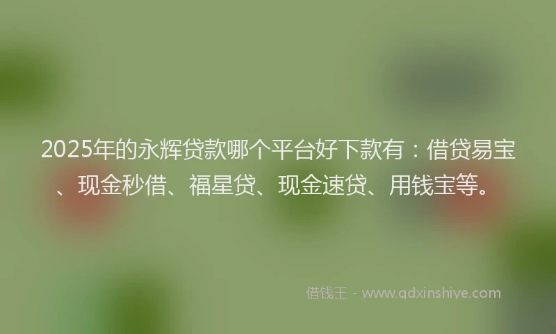2025年的永辉贷款哪个平台好下款有：借贷易宝、现金秒借、福星贷、现金速贷、用钱宝等。