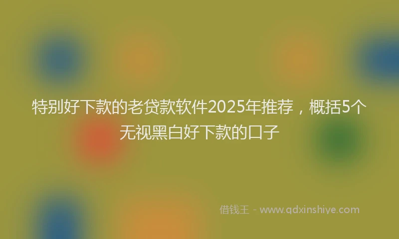 特别好下款的老贷款软件2025年推荐，概括5个无视黑白好下款的口子