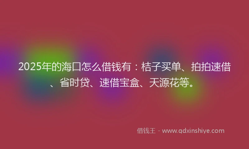 2025年的海口怎么借钱有：桔子买单、拍拍速借、省时贷、速借宝盒、天源花等。