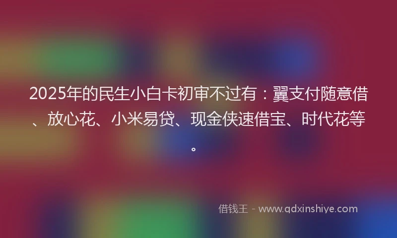 2025年的民生小白卡初审不过有：翼支付随意借、放心花、小米易贷、现金侠速借宝、时代花等。