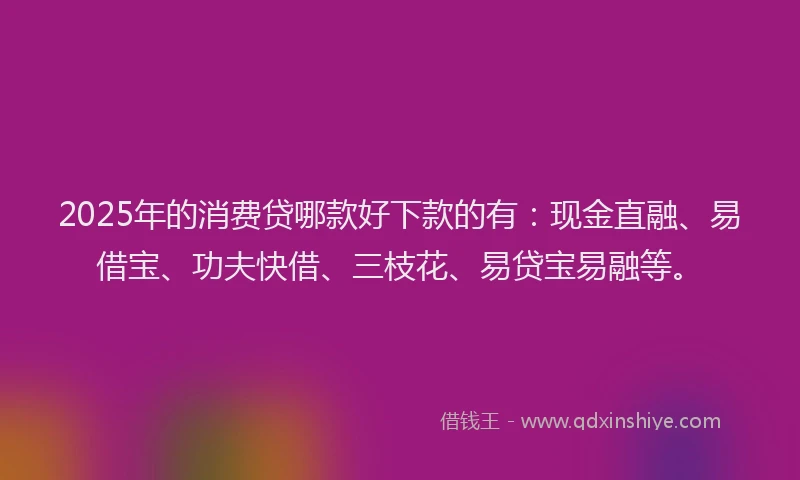 2025年的消费贷哪款好下款的有：现金直融、易借宝、功夫快借、三枝花、易贷宝易融等。