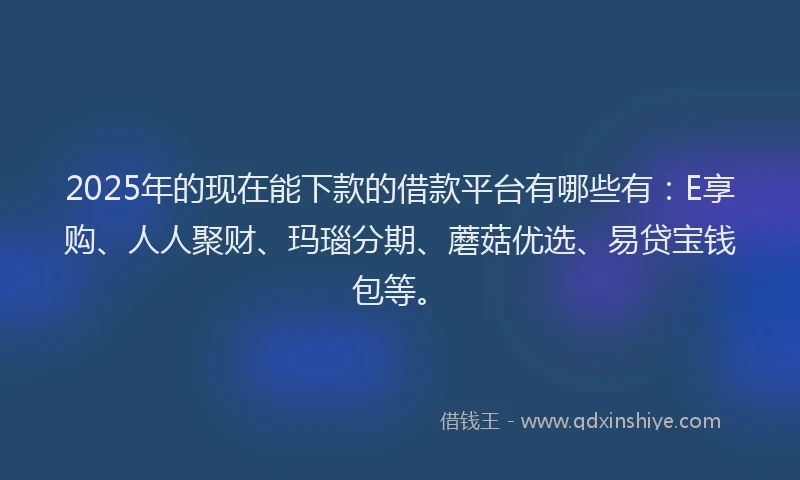2025年的现在能下款的借款平台有哪些有：E享购、人人聚财、玛瑙分期、蘑菇优选、易贷宝钱包等。