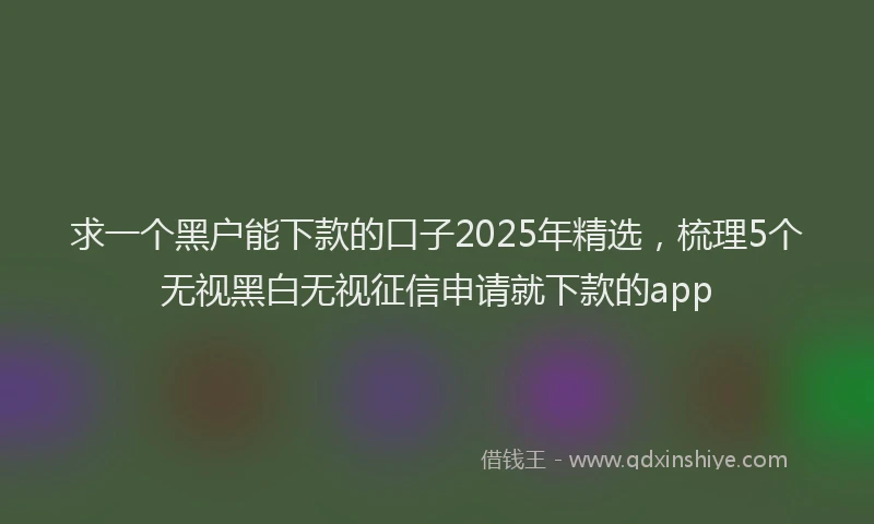 求一个黑户能下款的口子2025年精选，梳理5个无视黑白无视征信申请就下款的app