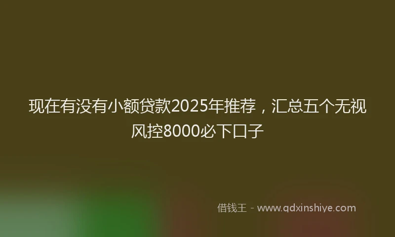 现在有没有小额贷款2025年推荐，汇总五个无视风控8000必下口子