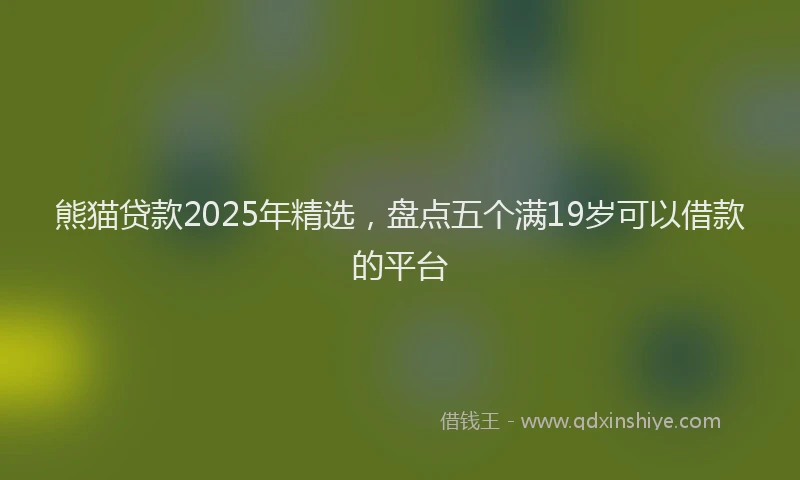 熊猫贷款2025年精选，盘点五个满19岁可以借款的平台