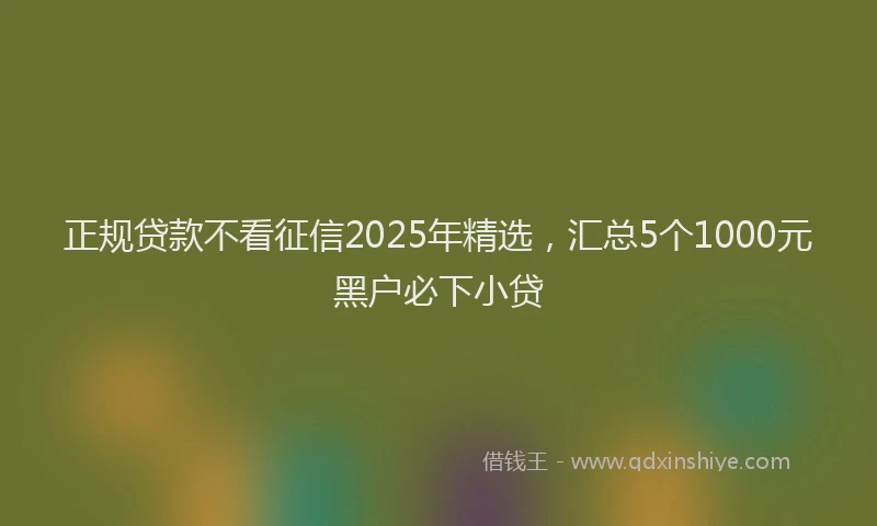 正规贷款不看征信2025年精选，汇总5个1000元黑户必下小贷