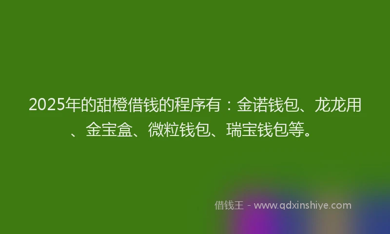 2025年的甜橙借钱的程序有：金诺钱包、龙龙用、金宝盒、微粒钱包、瑞宝钱包等。