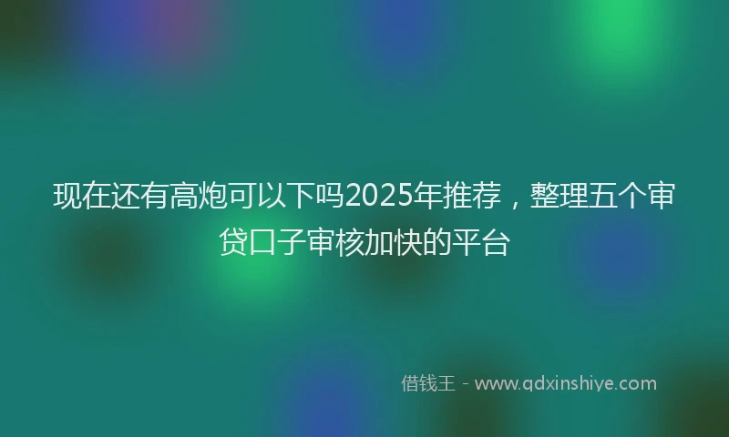现在还有高炮可以下吗2025年推荐，整理五个审贷口子审核加快的平台