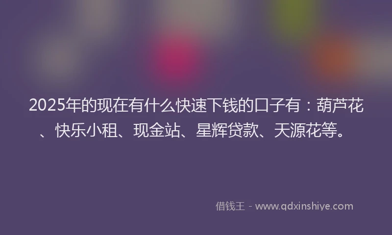 2025年的现在有什么快速下钱的口子有：葫芦花、快乐小租、现金站、星辉贷款、天源花等。