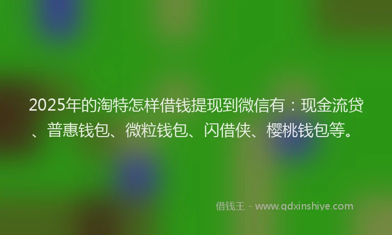2025年的淘特怎样借钱提现到微信有：现金流贷、普惠钱包、微粒钱包、闪借侠、樱桃钱包等。