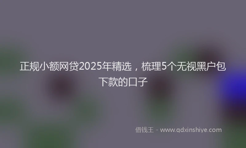 正规小额网贷2025年精选，梳理5个无视黑户包下款的口子