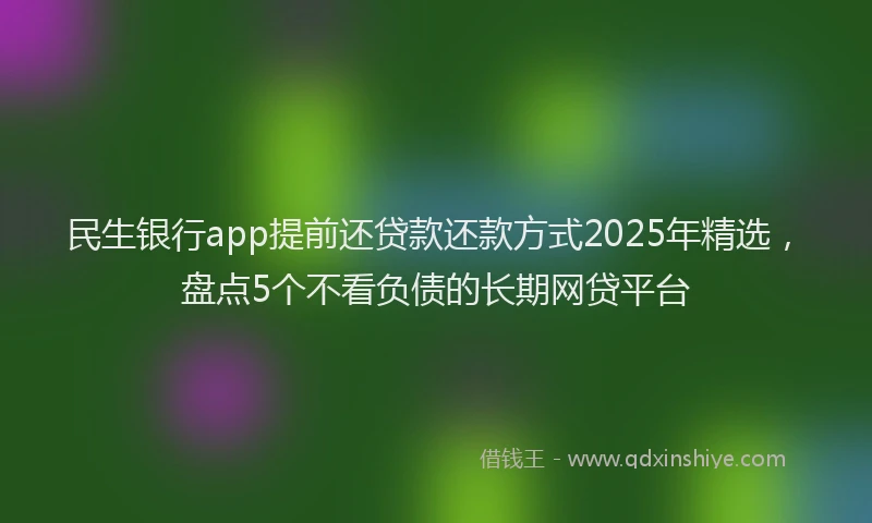 民生银行app提前还贷款还款方式2025年精选，盘点5个不看负债的长期网贷平台
