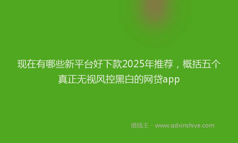 现在有哪些新平台好下款2025年推荐，概括五个真正无视风控黑白的网贷app