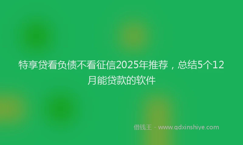 特享贷看负债不看征信2025年推荐，总结5个12月能贷款的软件