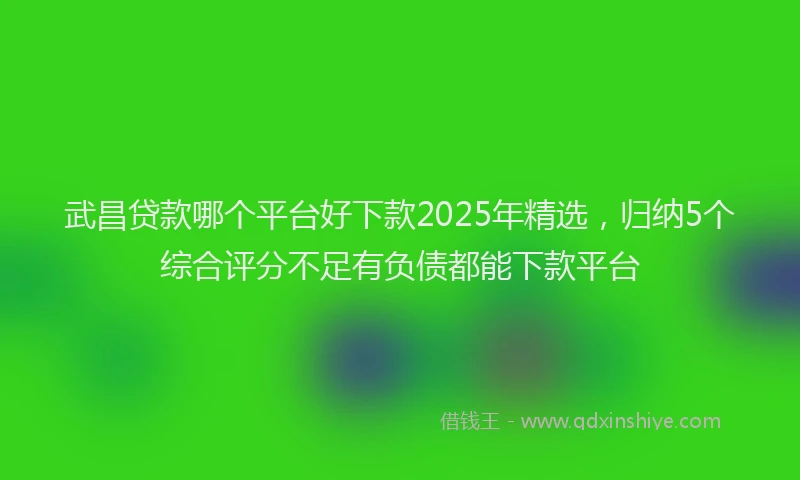 武昌贷款哪个平台好下款2025年精选，归纳5个综合评分不足有负债都能下款平台