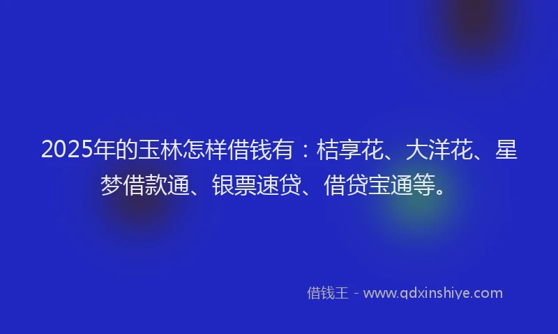 2025年的玉林怎样借钱有：桔享花、大洋花、星梦借款通、银票速贷、借贷宝通等。