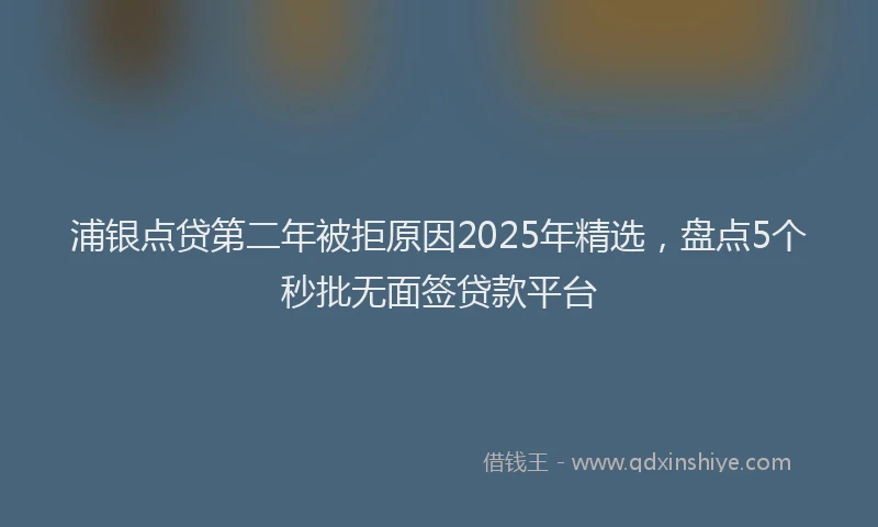 浦银点贷第二年被拒原因2025年精选，盘点5个秒批无面签贷款平台