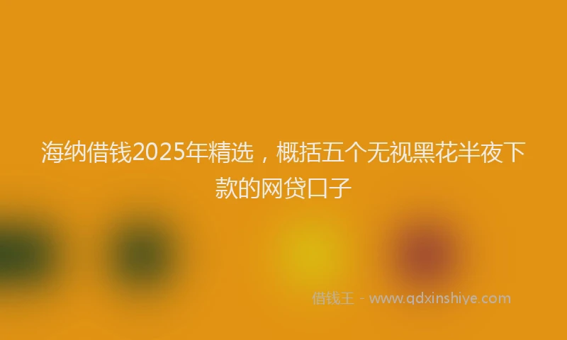 海纳借钱2025年精选，概括五个无视黑花半夜下款的网贷口子