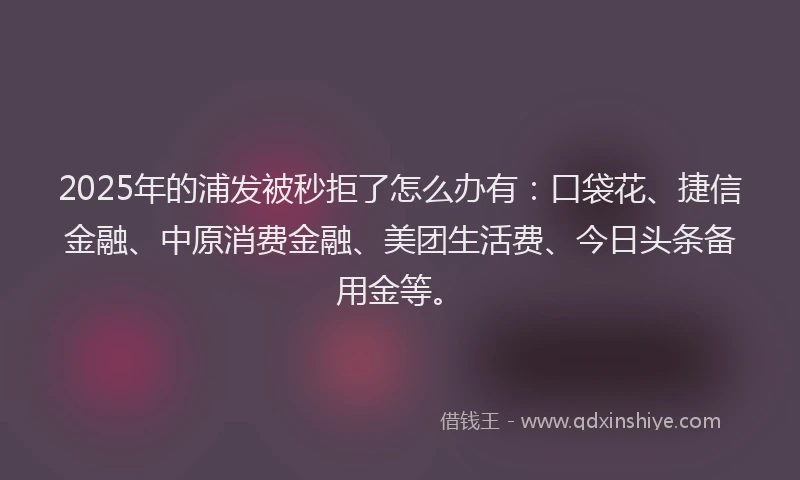 2025年的浦发被秒拒了怎么办有：口袋花、捷信金融、中原消费金融、美团生活费、今日头条备用金等。