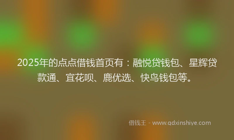 2025年的点点借钱首页有：融悦贷钱包、星辉贷款通、宜花呗、鹿优选、快鸟钱包等。