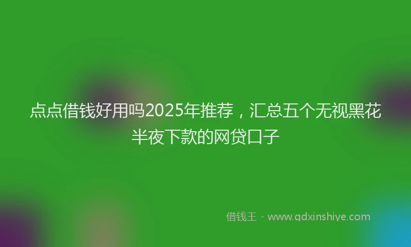 点点借钱好用吗2025年推荐，汇总五个无视黑花半夜下款的网贷口子